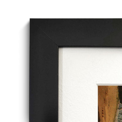 Sacred Tree of Hindus [Thomas Daniell] Art-Poster