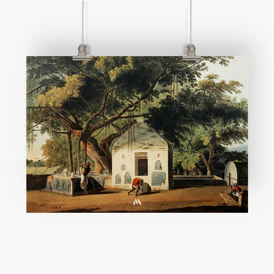 Sacred Tree of Hindus [Thomas Daniell] Art-Poster