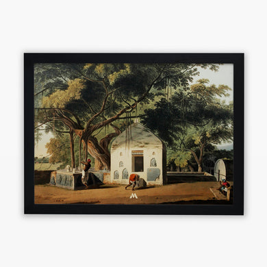 Sacred Tree of Hindus [Thomas Daniell] Art-Poster