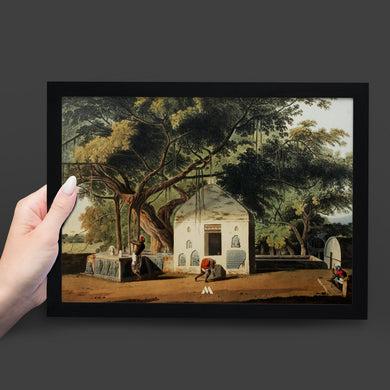 Sacred Tree of Hindus [Thomas Daniell] Art-Poster