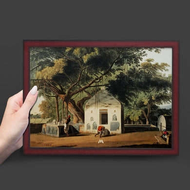 Sacred Tree of Hindus [Thomas Daniell] Art-Poster