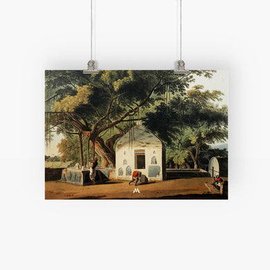 Sacred Tree of Hindus [Thomas Daniell] Art-Poster