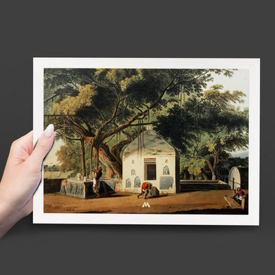 Sacred Tree of Hindus [Thomas Daniell] Art-Poster