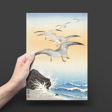 Five Seagulls Above Turbulent Sea [Ohara Koson] Metal-Poster