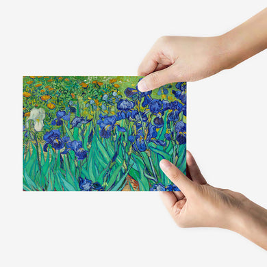 Irises [Van Gogh] Metal-Poster