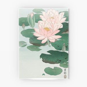 Water Lily [Ohara Koson] Metal-Poster