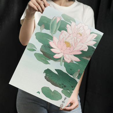 Water Lily [Ohara Koson] Metal-Poster