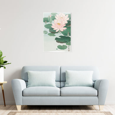 Water Lily [Ohara Koson] Metal-Poster