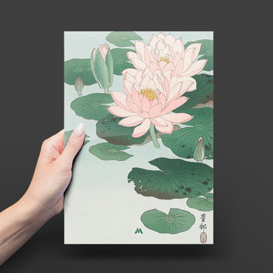Water Lily [Ohara Koson] Metal-Poster