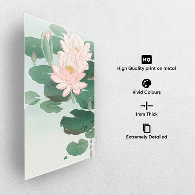 Water Lily [Ohara Koson] Metal-Poster