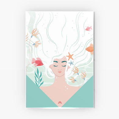 Princess Diaries Metal Poster-Combo