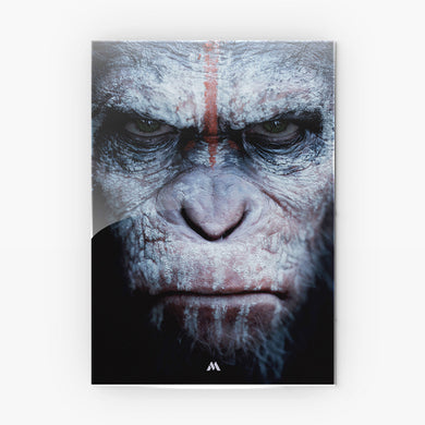 The Planet of the Apes Collection Metal Poster-Combo