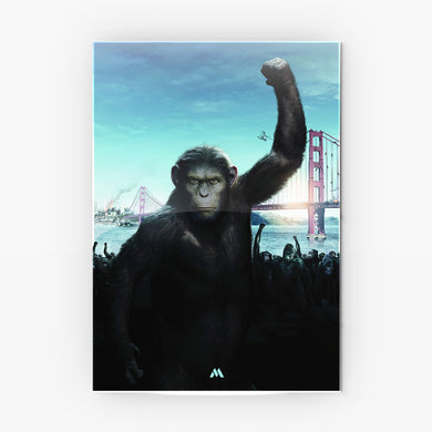 The Planet of the Apes Collection Metal Poster-Combo