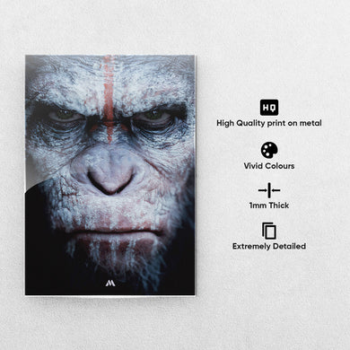 The Planet of the Apes Collection Metal Poster-Combo
