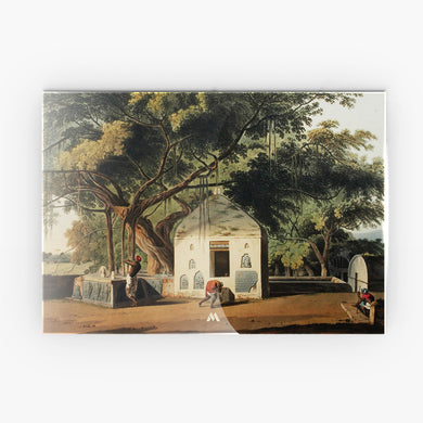 Sacred Tree of Hindus [Thomas Daniell] Metal-Poster