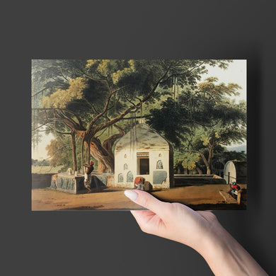 Sacred Tree of Hindus [Thomas Daniell] Metal-Poster